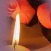 trueteller Thumbnail