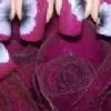 juliet.sha Thumbnail