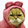jennad thumbnail