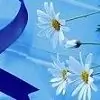 nehara90 Thumbnail