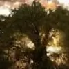 MiShIDsOzA thumbnail