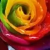 KtotheM thumbnail
