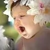 mir_mishti thumbnail