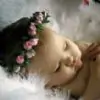 manvitha19 Thumbnail