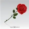 ...Seema... thumbnail