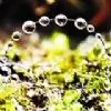 ..starryeyed.. thumbnail