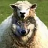 VerboseG thumbnail