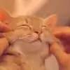 AbdulloveIPKKND thumbnail