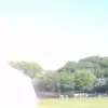 PiyaBawri Thumbnail