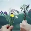 haya20 Thumbnail