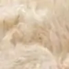 aafreen_123 thumbnail