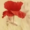 sakhisangni thumbnail