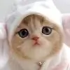 Humayra thumbnail