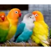 vinitha. thumbnail