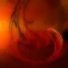 Lucinda.Brown thumbnail