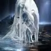 mb_bi thumbnail