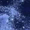 AriaNeci thumbnail