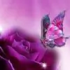 sweet_sanju thumbnail