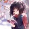 fflies thumbnail