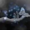 vrimarcreation Thumbnail