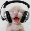 d-_-b thumbnail