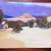Enlightment thumbnail