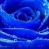 sanaya33246 Thumbnail