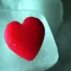 stylish_pari thumbnail
