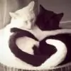 priyal_TaaRey thumbnail