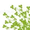 cloverleaf thumbnail