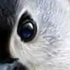 pearlypriya thumbnail