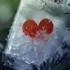 -FrozenHeart- Thumbnail