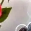 vidrev thumbnail