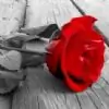 RomanticSpring thumbnail