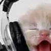 Polo_s thumbnail