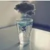 theskyisblue thumbnail
