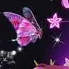 rajnid68 thumbnail