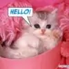neha.angel thumbnail