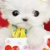 nadiafarjana thumbnail
