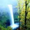 monsoonwedding1 Thumbnail