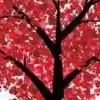 Gauri... thumbnail