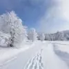ice-cold thumbnail