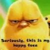 arhi_crazy thumbnail