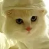 atharin thumbnail