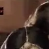 SindhuMenon thumbnail