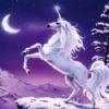 unicorn234diary thumbnail