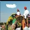 rajasthantour01 thumbnail