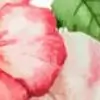 Khushi_love thumbnail