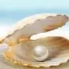 Sangana thumbnail