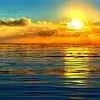 First_Light thumbnail
